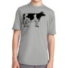 Youth Performance Blend Tee Thumbnail